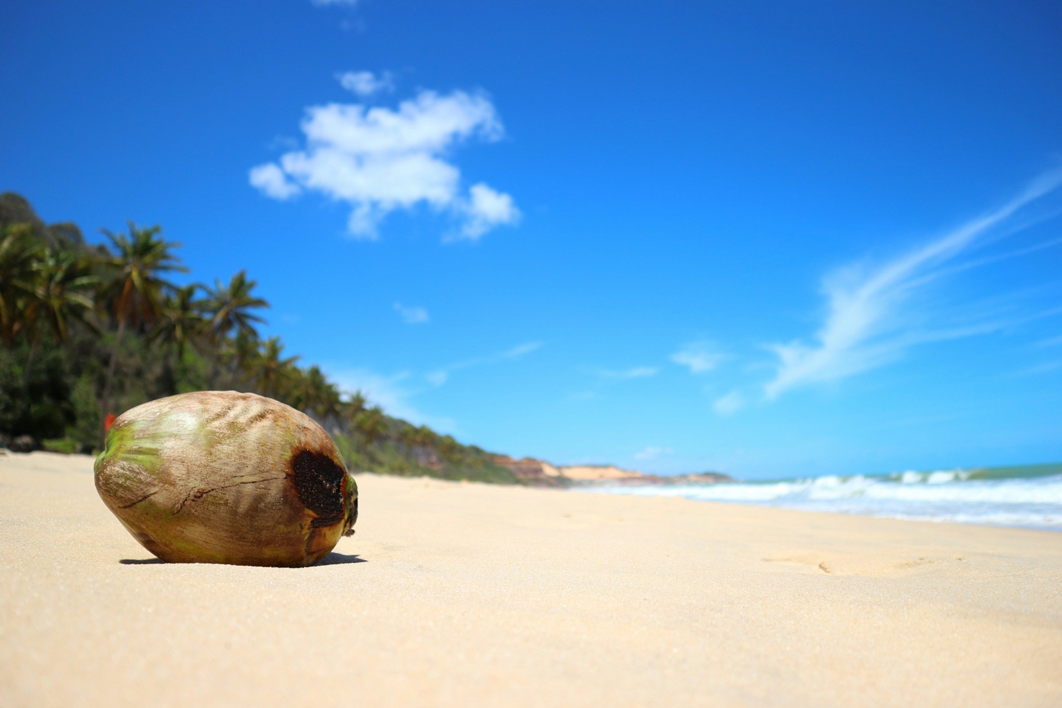 Foto de costa y playa para la guía de Brasil