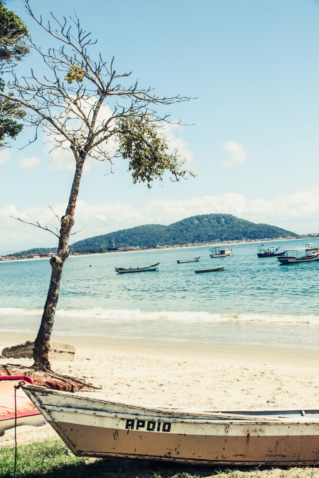 Foto de costa y playa para la guía de Brasil