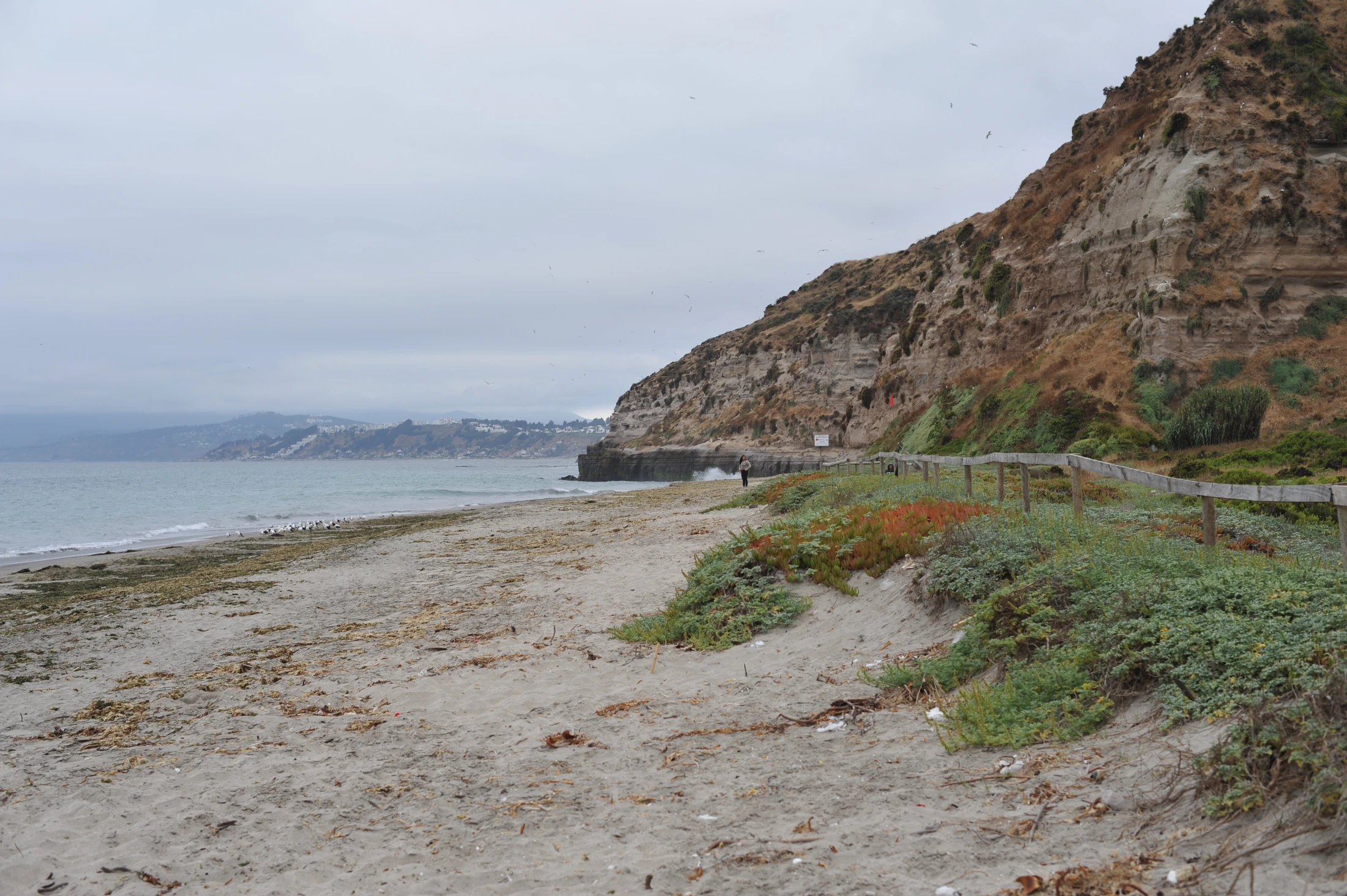 Playa Luna en Puchuncaví, Valparaíso, Chile