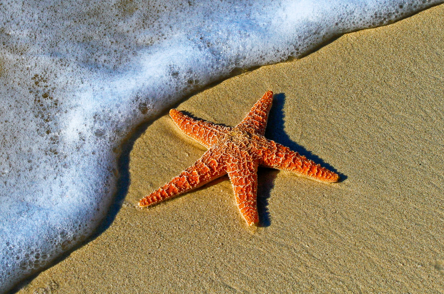 Foto de costa y playa para la guía de el mundo
