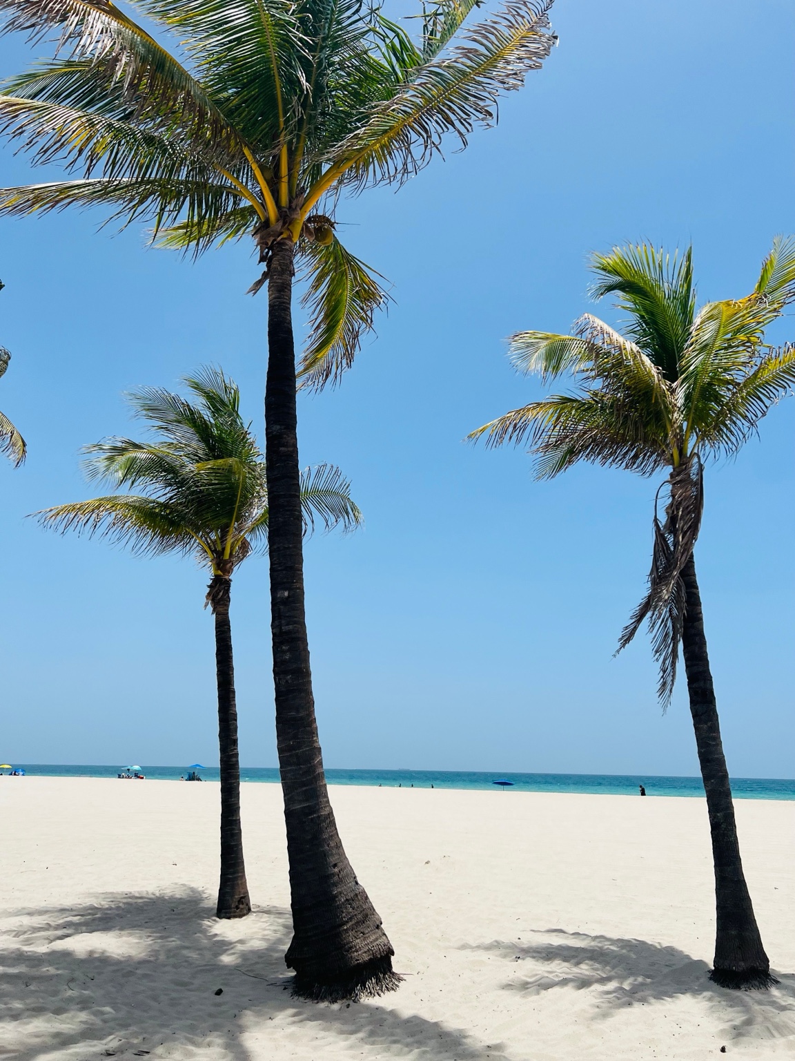 Foto de costa y playa para la guía de Estados Unidos