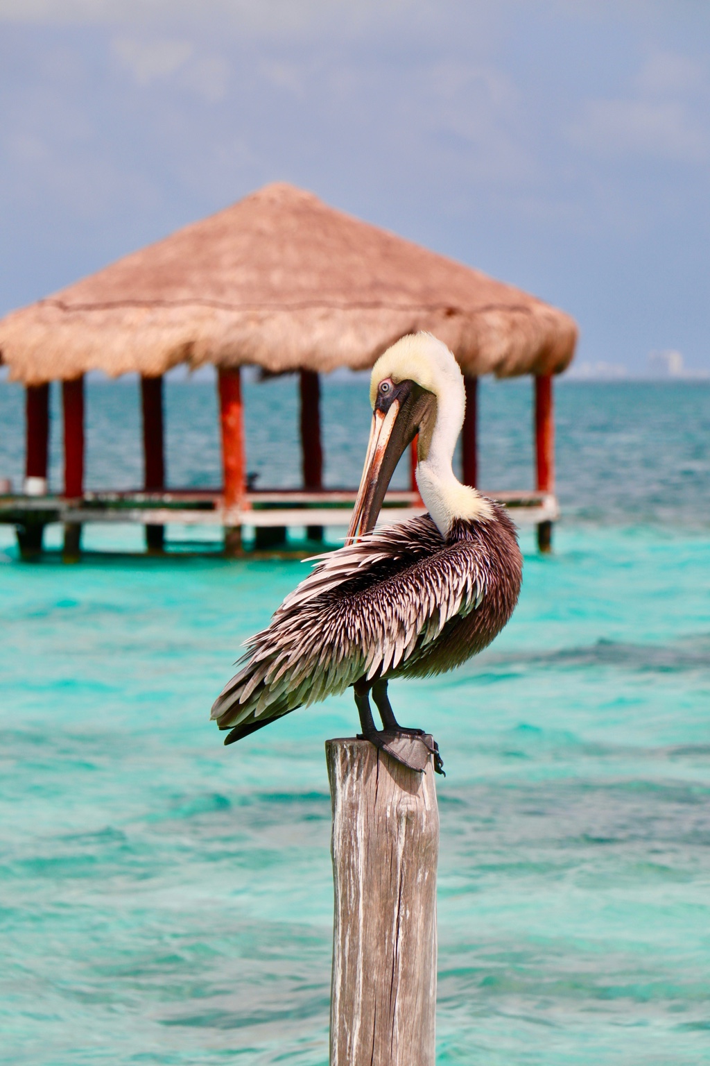 Foto de costa y playa para la guía de México